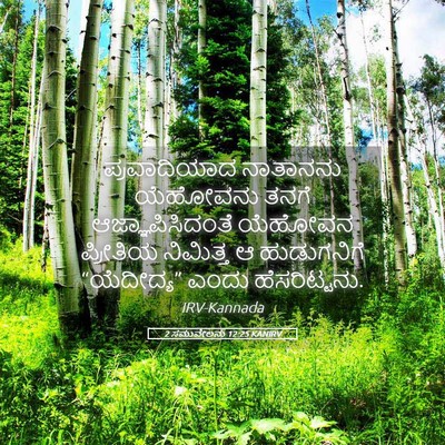 Picture 05 - 2 ಸಮುವೇಲನು 12:25 KANIRV - ಪ್ರವಾದಿಯಾದ - Bible Verse Picture