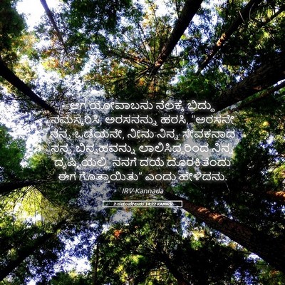 Picture 05 - 2 ಸಮುವೇಲನು 14:22 KANIRV - ಆಗ ಯೋವಾಬನು - Bible Verse Picture