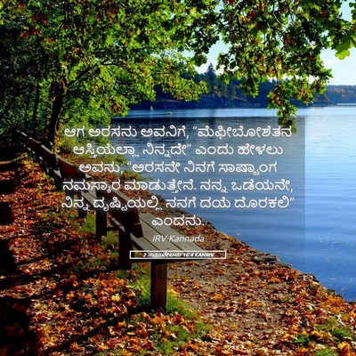 Picture 05 - 2 ಸಮುವೇಲನು 16:4 KANIRV - ಆಗ ಅರಸನು ಅವನಿಗೆ, - Bible Verse Picture