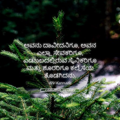 Picture 05 - 2 ಸಮುವೇಲನು 16:6 KANIRV - ಅವನು ದಾವೀದನಿಗೂ, - Bible Verse Picture