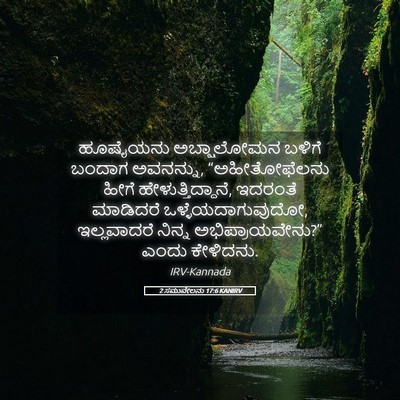 Picture 05 - 2 ಸಮುವೇಲನು 17:6 KANIRV - ಹೂಷೈಯನು ಅಬ್ಷಾಲೋಮನ - Bible Verse Picture