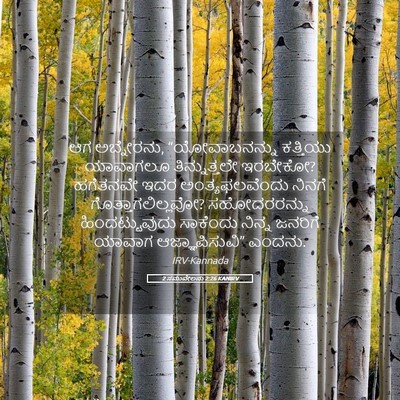 Picture 05 - 2 ಸಮುವೇಲನು 2:26 KANIRV - ಆಗ ಅಬ್ನೇರನು, - Bible Verse Picture