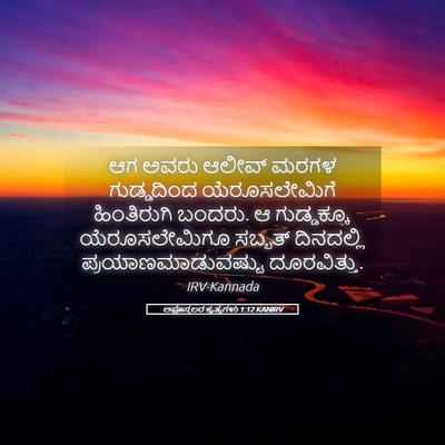 Picture 05 - ಅಪೊಸ್ತಲರ ಕೃತ್ಯಗಳು 1:12 KANIRV - ಆಗ ಅವರು ಆಲೀವ್ ಮರಗಳ - Bible Verse Picture