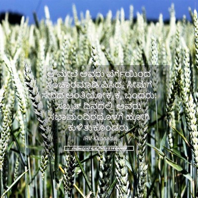 Picture 05 - ಅಪೊಸ್ತಲರ ಕೃತ್ಯಗಳು 13:14 KANIRV - ಆ ಮೇಲೆ ಅವರು - Bible Verse Picture