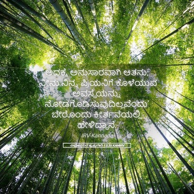 Picture 05 - ಅಪೊಸ್ತಲರ ಕೃತ್ಯಗಳು 13:35 KANIRV - ಅದಕ್ಕೆ ಅನುಸಾರವಾಗಿ - Bible Verse Picture
