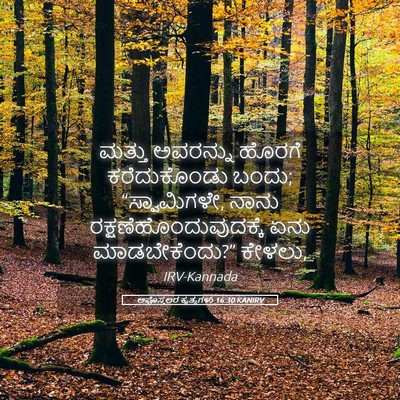 Picture 05 - ಅಪೊಸ್ತಲರ ಕೃತ್ಯಗಳು 16:30 KANIRV - ಮತ್ತು ಅವರನ್ನು - Bible Verse Picture