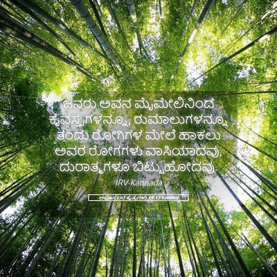 Picture 05 - ಅಪೊಸ್ತಲರ ಕೃತ್ಯಗಳು 19:12 KANIRV - ಜನರು ಅವನ - Bible Verse Picture