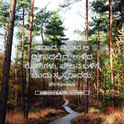 Picture 05 - ಅಪೊಸ್ತಲರ ಕೃತ್ಯಗಳು 28:9 KANIRV - ಇದಾದ, ನಂತರ ಆ - Bible Verse Picture