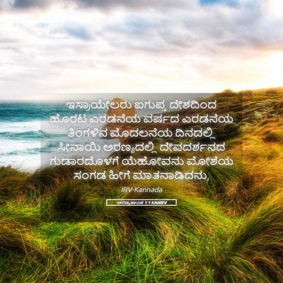 Picture 05 - ಅರಣ್ಯಕಾಂಡ 1:1 KANIRV - ಇಸ್ರಾಯೇಲರು ಐಗುಪ್ತ - Bible Verse Picture