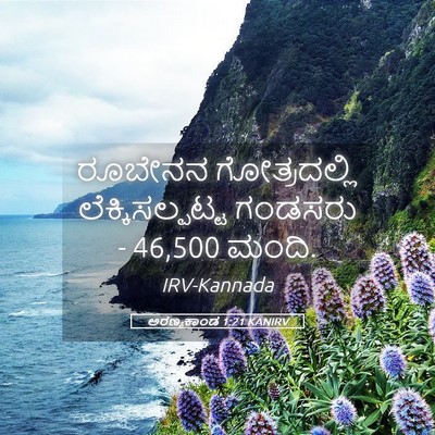 Picture 05 - ಅರಣ್ಯಕಾಂಡ 1:21 KANIRV - ರೂಬೇನನ ಗೋತ್ರದಲ್ಲಿ - Bible Verse Picture