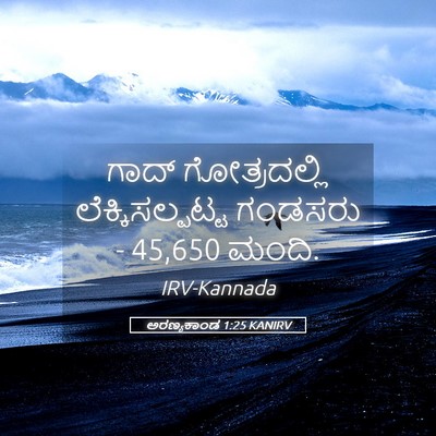 Picture 05 - ಅರಣ್ಯಕಾಂಡ 1:25 KANIRV - ಗಾದ್ ಗೋತ್ರದಲ್ಲಿ - Bible Verse Picture