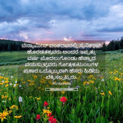 Picture 05 - ಅರಣ್ಯಕಾಂಡ 1:36 KANIRV - ಬೆನ್ಯಾಮೀನ್ - Bible Verse Picture