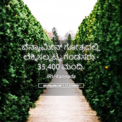 Picture 05 - ಅರಣ್ಯಕಾಂಡ 1:37 KANIRV - ಬೆನ್ಯಾಮೀನ್ - Bible Verse Picture