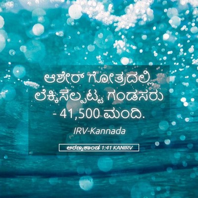 Picture 05 - ಅರಣ್ಯಕಾಂಡ 1:41 KANIRV - ಆಶೇರ್ ಗೋತ್ರದಲ್ಲಿ - Bible Verse Picture