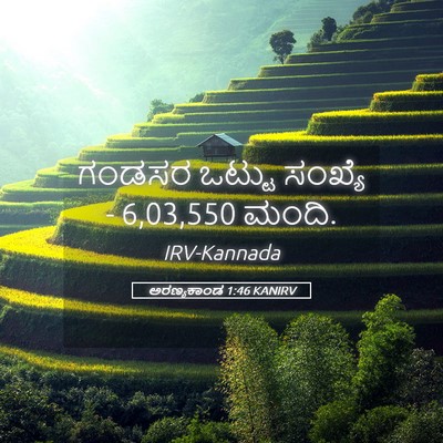 Picture 05 - ಅರಣ್ಯಕಾಂಡ 1:46 KANIRV - ಗಂಡಸರ ಒಟ್ಟು - Bible Verse Picture