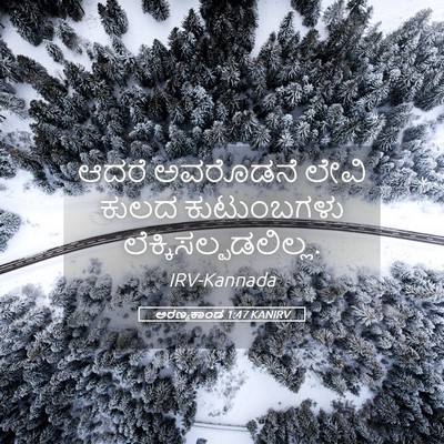 Picture 05 - ಅರಣ್ಯಕಾಂಡ 1:47 KANIRV - ಆದರೆ ಅವರೊಡನೆ ಲೇವಿ - Bible Verse Picture