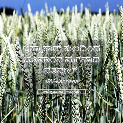 Picture 05 - ಅರಣ್ಯಕಾಂಡ 1:8 KANIRV - ಇಸ್ಸಾಕಾರ್ ಕುಲದಿಂದ - Bible Verse Picture