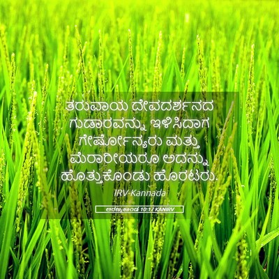 Picture 05 - ಅರಣ್ಯಕಾಂಡ 10:17 KANIRV - ತರುವಾಯ ದೇವದರ್ಶನದ - Bible Verse Picture