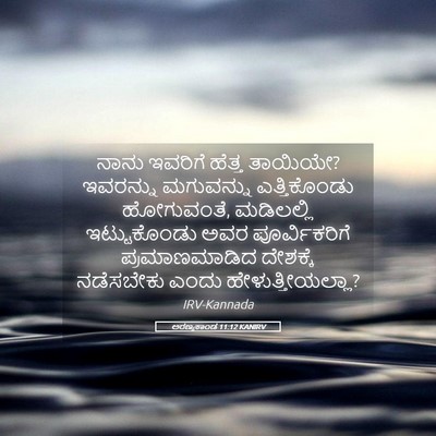 Picture 05 - ಅರಣ್ಯಕಾಂಡ 11:12 KANIRV - ನಾನು ಇವರಿಗೆ ಹೆತ್ತ - Bible Verse Picture