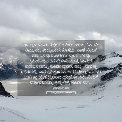 Picture 05 - ಅರಣ್ಯಕಾಂಡ 11:18 KANIRV - ಇದಲ್ಲದೆ - Bible Verse Picture