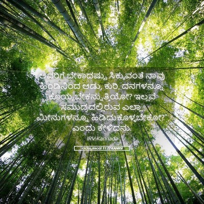 Picture 05 - ಅರಣ್ಯಕಾಂಡ 11:22 KANIRV - ಅವರಿಗೆ ಬೇಕಾದಷ್ಟು - Bible Verse Picture