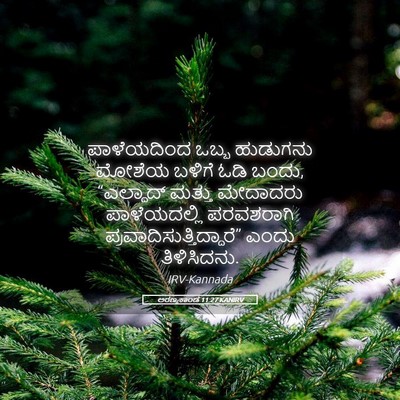 Picture 05 - ಅರಣ್ಯಕಾಂಡ 11:27 KANIRV - ಪಾಳೆಯದಿಂದ ಒಬ್ಬ - Bible Verse Picture