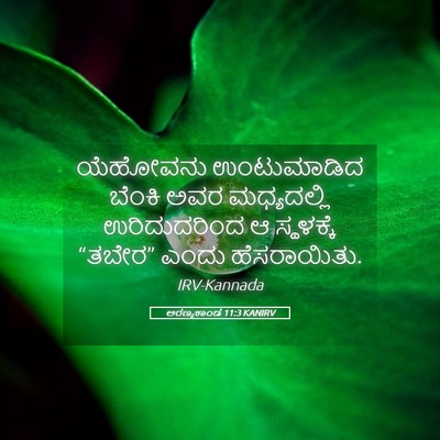 Picture 05 - ಅರಣ್ಯಕಾಂಡ 11:3 KANIRV - ಯೆಹೋವನು ಉಂಟುಮಾಡಿದ - Bible Verse Picture