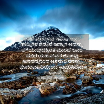 Picture 05 - ಅರಣ್ಯಕಾಂಡ 11:33 KANIRV - ಆದರೆ ಮಾಂಸವು ಇನ್ನೂ - Bible Verse Picture