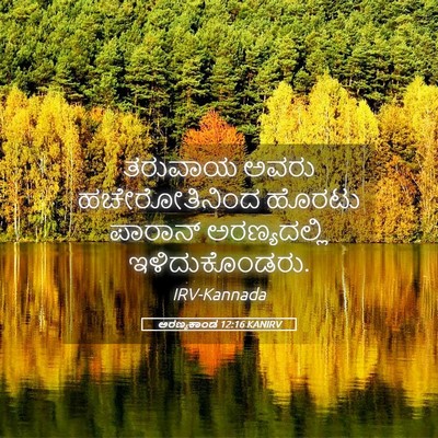 Picture 05 - ಅರಣ್ಯಕಾಂಡ 12:16 KANIRV - ತರುವಾಯ ಅವರು - Bible Verse Picture
