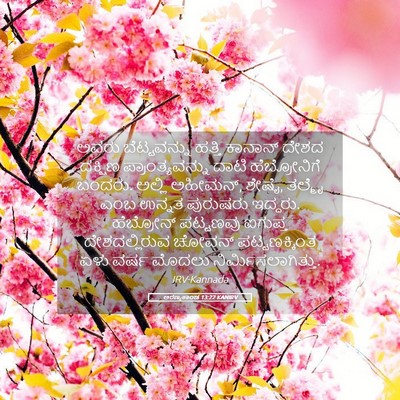 Picture 05 - ಅರಣ್ಯಕಾಂಡ 13:22 KANIRV - ಅವರು ಬೆಟ್ಟವನ್ನು - Bible Verse Picture