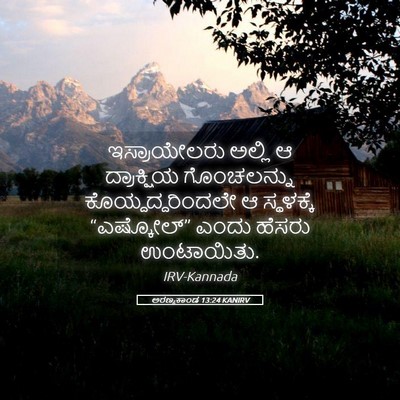 Picture 05 - ಅರಣ್ಯಕಾಂಡ 13:24 KANIRV - ಇಸ್ರಾಯೇಲರು ಅಲ್ಲಿ - Bible Verse Picture