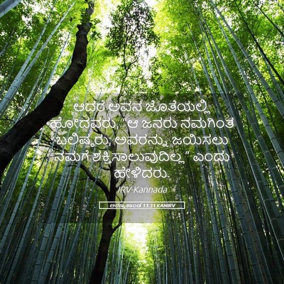 Picture 05 - ಅರಣ್ಯಕಾಂಡ 13:31 KANIRV - ಆದರೆ ಅವನ - Bible Verse Picture