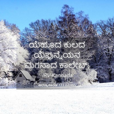Picture 05 - ಅರಣ್ಯಕಾಂಡ 13:6 KANIRV - ಯೆಹೂದ ಕುಲದ - Bible Verse Picture