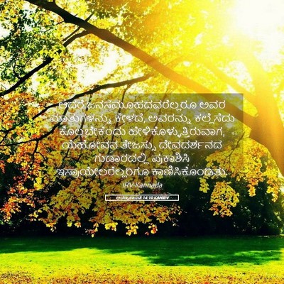 Picture 05 - ಅರಣ್ಯಕಾಂಡ 14:10 KANIRV - ಆದರೆ - Bible Verse Picture