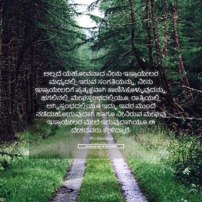 Picture 05 - ಅರಣ್ಯಕಾಂಡ 14:14 KANIRV - ಅಲ್ಲದೆ ಯೆಹೋವನಾದ - Bible Verse Picture