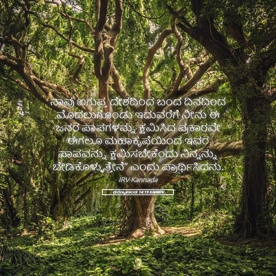 Picture 05 - ಅರಣ್ಯಕಾಂಡ 14:19 KANIRV - ನಾವು ಐಗುಪ್ತ - Bible Verse Picture