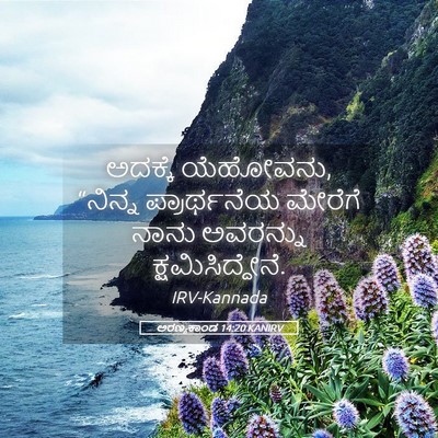 Picture 05 - ಅರಣ್ಯಕಾಂಡ 14:20 KANIRV - ಅದಕ್ಕೆ ಯೆಹೋವನು, - Bible Verse Picture