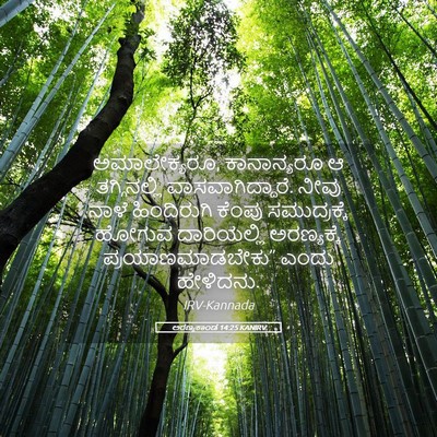 Picture 05 - ಅರಣ್ಯಕಾಂಡ 14:25 KANIRV - ಅಮಾಲೇಕ್ಯರೂ, - Bible Verse Picture