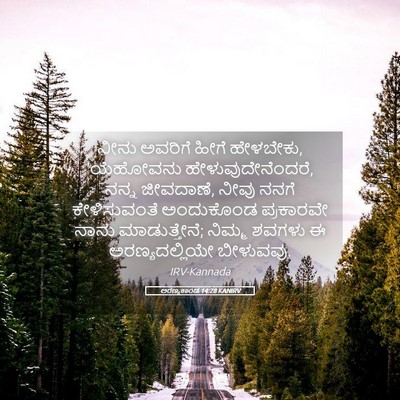 Picture 05 - ಅರಣ್ಯಕಾಂಡ 14:28 KANIRV - ನೀನು ಅವರಿಗೆ ಹೀಗೆ - Bible Verse Picture