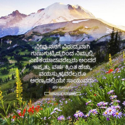 Picture 05 - ಅರಣ್ಯಕಾಂಡ 14:29 KANIRV - ನೀವು ನನಗೆ - Bible Verse Picture