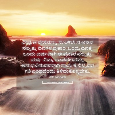 Picture 05 - ಅರಣ್ಯಕಾಂಡ 14:34 KANIRV - ನೀವು ಆ ದೇಶವನ್ನು - Bible Verse Picture