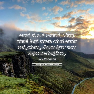 Picture 05 - ಅರಣ್ಯಕಾಂಡ 14:41 KANIRV - ಆದರೆ ಮೋಶೆ ಅವರಿಗೆ, - Bible Verse Picture