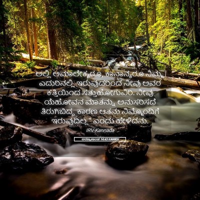 Picture 05 - ಅರಣ್ಯಕಾಂಡ 14:43 KANIRV - ಅಲ್ಲಿ ಅಮಾಲೇಕ್ಯರೂ, - Bible Verse Picture