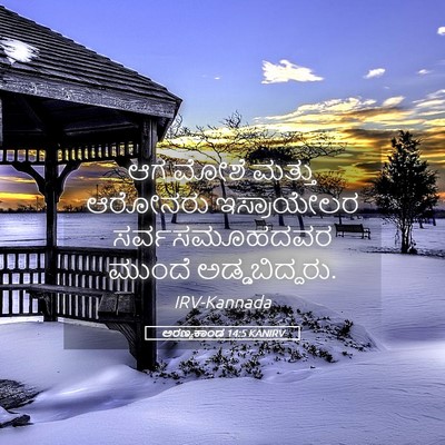 Picture 05 - ಅರಣ್ಯಕಾಂಡ 14:5 KANIRV - ಆಗ ಮೋಶೆ ಮತ್ತು - Bible Verse Picture