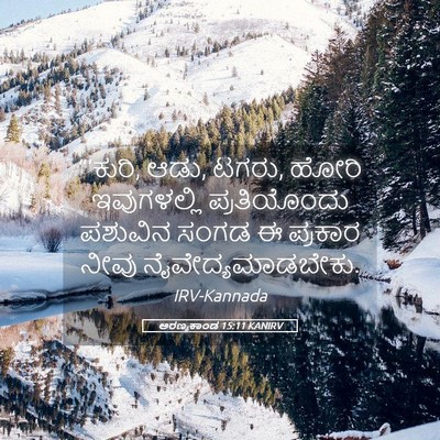 Picture 05 - ಅರಣ್ಯಕಾಂಡ 15:11 KANIRV - “‘ಕುರಿ, ಆಡು, ಟಗರು, - Bible Verse Picture