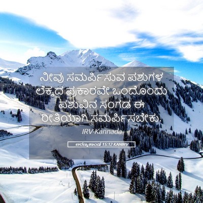Picture 05 - ಅರಣ್ಯಕಾಂಡ 15:12 KANIRV - ನೀವು ಸಮರ್ಪಿಸುವ - Bible Verse Picture