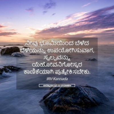Picture 05 - ಅರಣ್ಯಕಾಂಡ 15:19 KANIRV - ನೀವು ಭೂಮಿಯಿಂದ - Bible Verse Picture