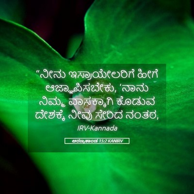 Picture 05 - ಅರಣ್ಯಕಾಂಡ 15:2 KANIRV - “ನೀನು - Bible Verse Picture