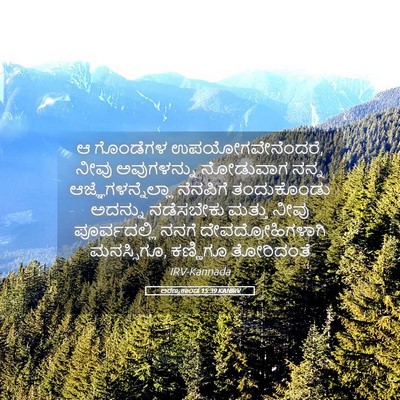 Picture 05 - ಅರಣ್ಯಕಾಂಡ 15:39 KANIRV - ಆ ಗೊಂಡೆಗಳ - Bible Verse Picture