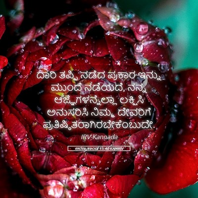 Picture 05 - ಅರಣ್ಯಕಾಂಡ 15:40 KANIRV - ದಾರಿ ತಪ್ಪಿ ನಡೆದ - Bible Verse Picture